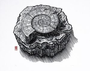 Metro fossile linogravure linocutfactory stephane getas