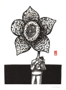 Stapelia 218x300